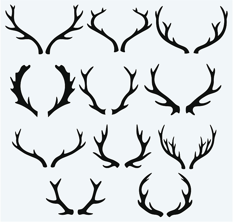 鹿,有角的,鹿角,雄鹿,奖杯,形状,职权,绘画插图,符号,动物学