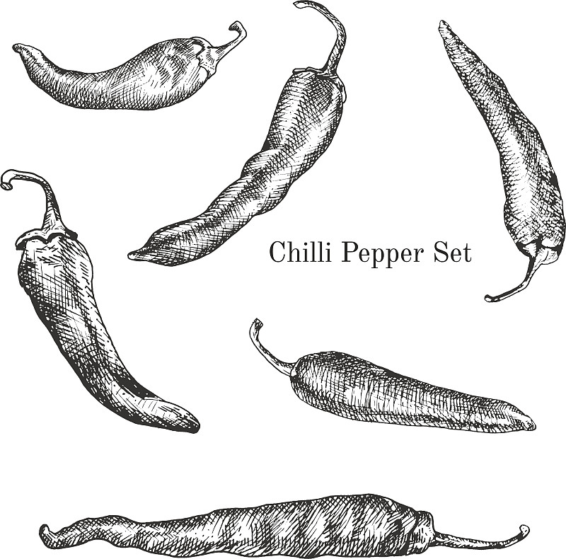 椒类食物,墨水,草图,红辣椒粉,灯笼椒,食品杂货,素食,绘画插图,古典式,计算机制图