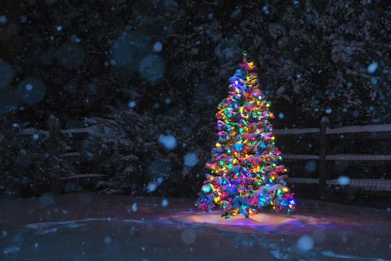 圣诞树,夜晚,停车楼,圣诞小彩灯,木栅栏,多色的,户外,雪,留白,水平画幅