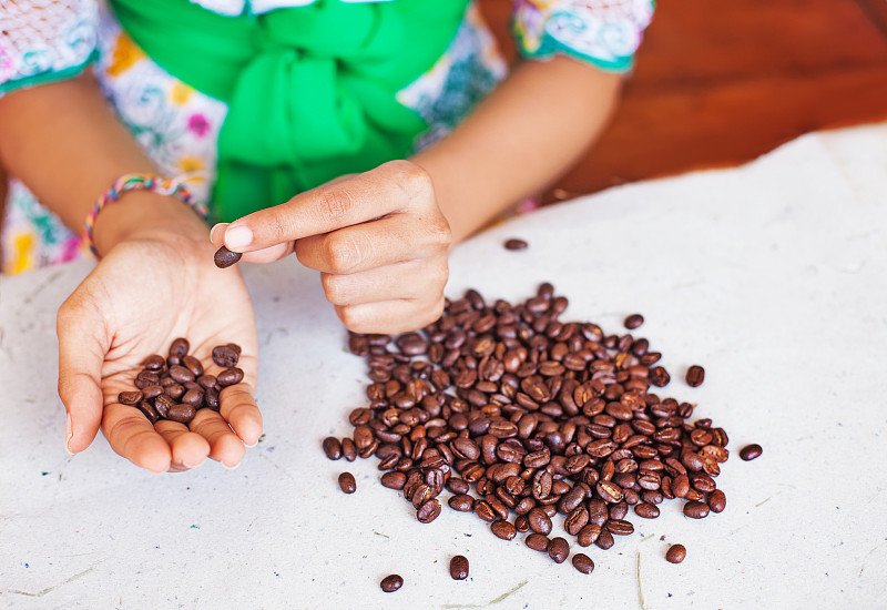 咖啡豆,可巴雅服,巧克力工厂,农民,巧克力,烤咖啡豆,芳香的,巴厘岛,仅成年人,工业