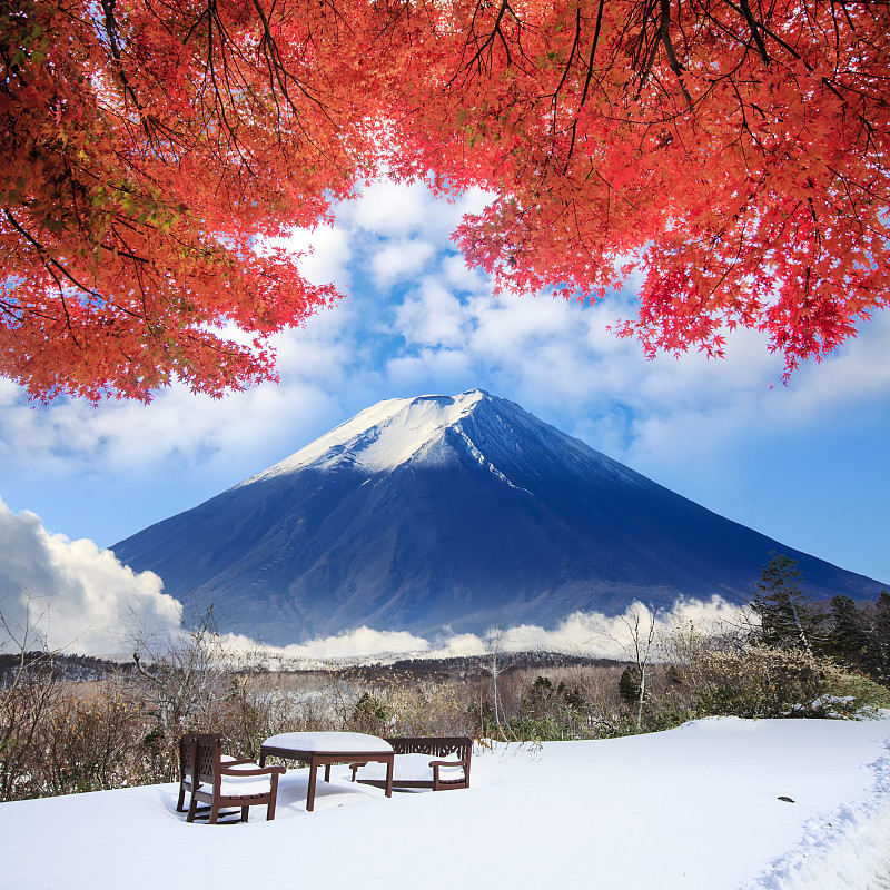 山,富士山,背景,灵性,图像,里山,樱花,雪,无人,火山地形