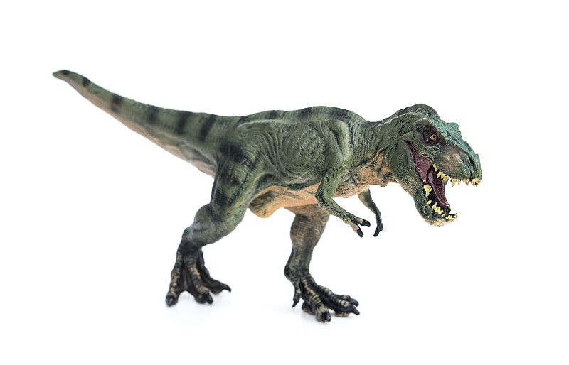 霸王龙,玩具,白色背景,水平画幅,惊骇,巨大的,兽脚亚目食肉恐龙,已灭绝生物,爬行纲,恐龙