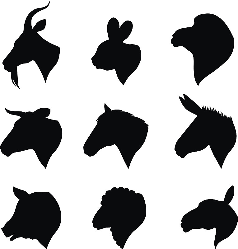 动物头,牲畜,侧面像,驴子,绘画插图,动物身体部位,兔子,骆驼,肉,马