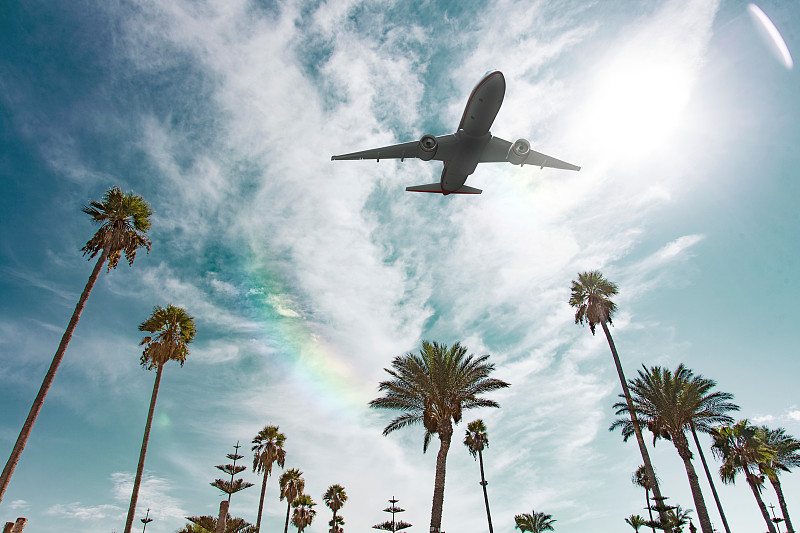 商用机,飞机,棕榈树,天空,半空中,机票,风,水平画幅,夏天,交通方式