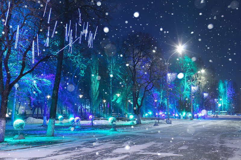 夜晚,城市,电缆,公园,新的,水平画幅,雪,圣诞树