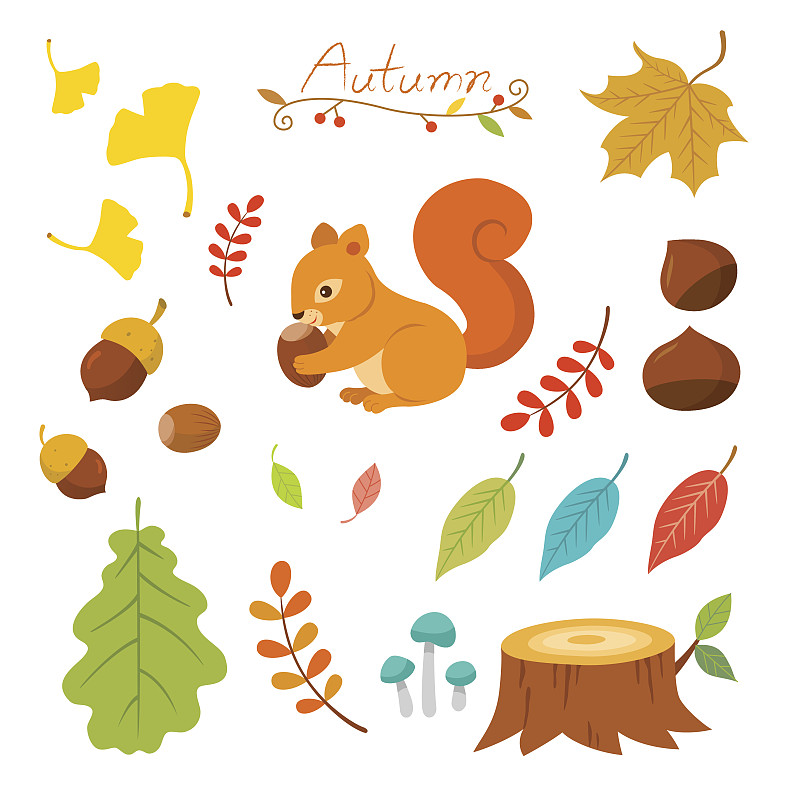 秋天,四元素,绘画插图,野外动物,组物体,树林,白色,幼兽,植物,环境
