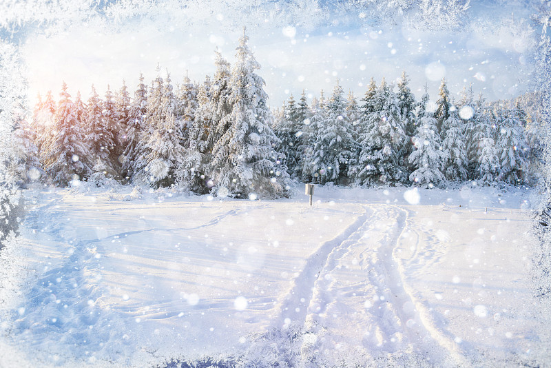 冬天,绘画插图,旅游目的地,彩色图片,自然美,高大的,大风雪,雪,路,地形