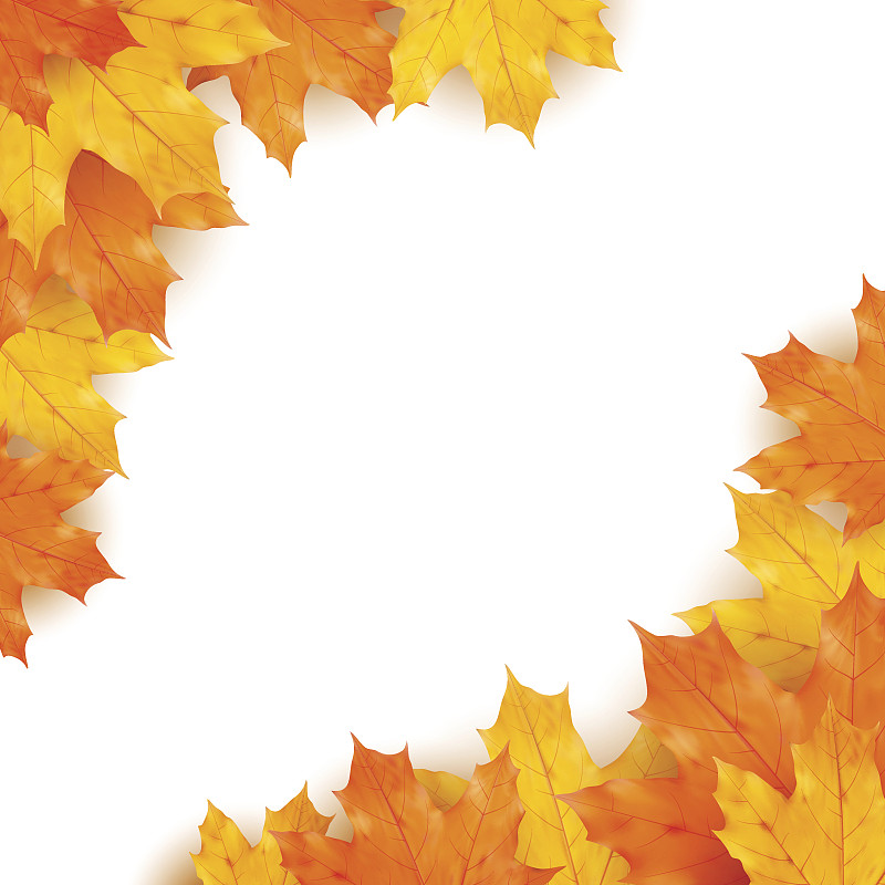 秋天,背景,活力,十月,部分,背景分离,边框,公园,枝繁叶茂,模板