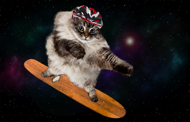 猫,乐趣,太空,滑板运动,毛绒绒,天空,美,星系,水平画幅,夜晚