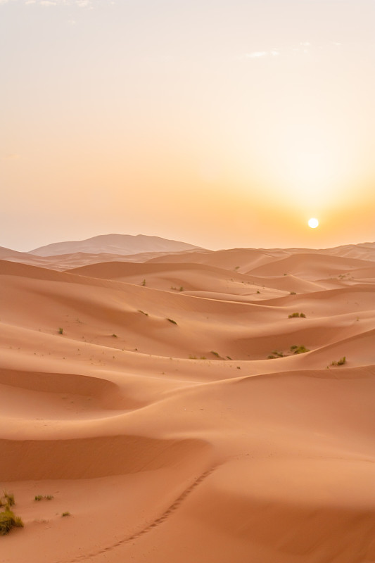撒哈拉沙漠,黎明,沙丘,摩洛哥,沙漠,非洲,垂直画幅,天空,沙子,无人