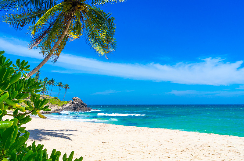 斯里兰卡,海滩,鸡尾酒,加勒比海,棕榈树,热带气候,椰子树,天空,度假胜地,水平画幅