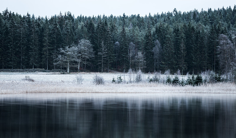 霜,地形,冬天,白桦,瑞典,森林,湖,数字0,黑色,水