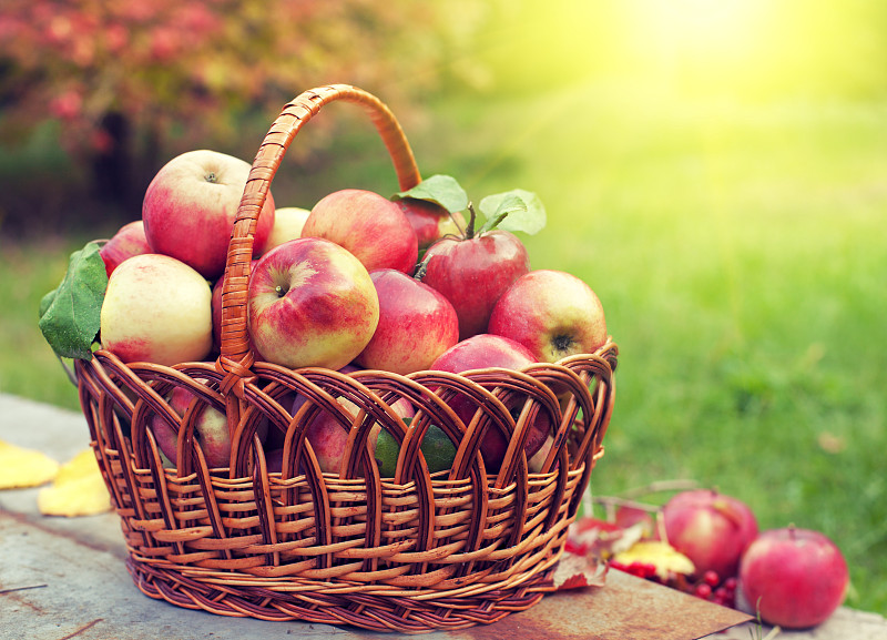 篮子,果园,苹果,草,农作物,水果,清新,有机食品,秋天,农场