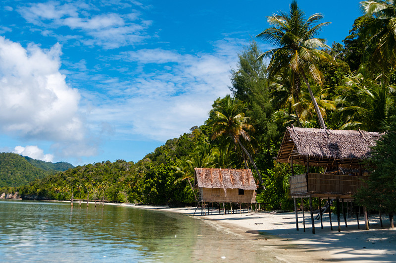 小屋,棕榈树,海滩,竹,巴布亚新几内亚,自然,水平画幅,沙子,无人,蓝色