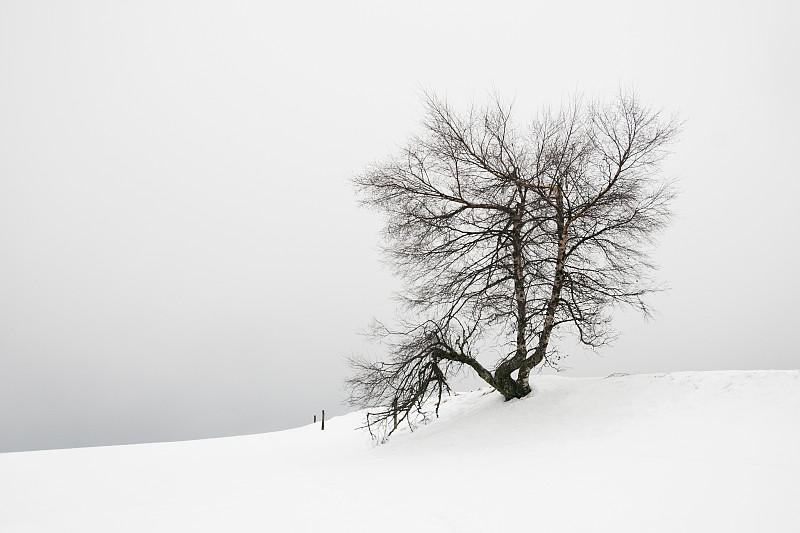 洛杉矶,卢瓦尔河,比拉沙丘,卢瓦尔河谷,越野滑雪,瑞属拉普兰,穿雪鞋走路运动,雪鞋,拉普兰,地形