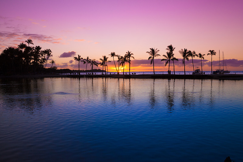 夏威夷,加勒比海,异国情调,黄昏,加勒比海地区,椰子树,度假胜地,旅游目的地,非凡的,热带气候