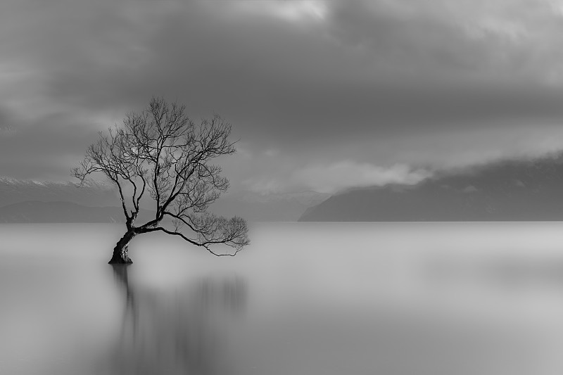 黑白图片,新西兰,一只动物,瓦纳卡湖,瓦纳卡,宏伟,非凡的,寂寞,湖,安静