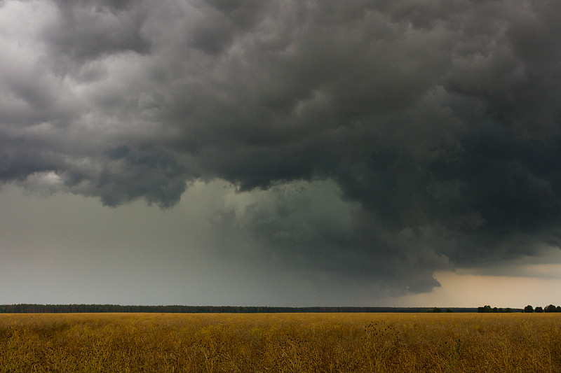 乌云,戏剧性的天空,暴风雨,雷雨,雨,飓风,田地,田园风光,小麦,农作物
