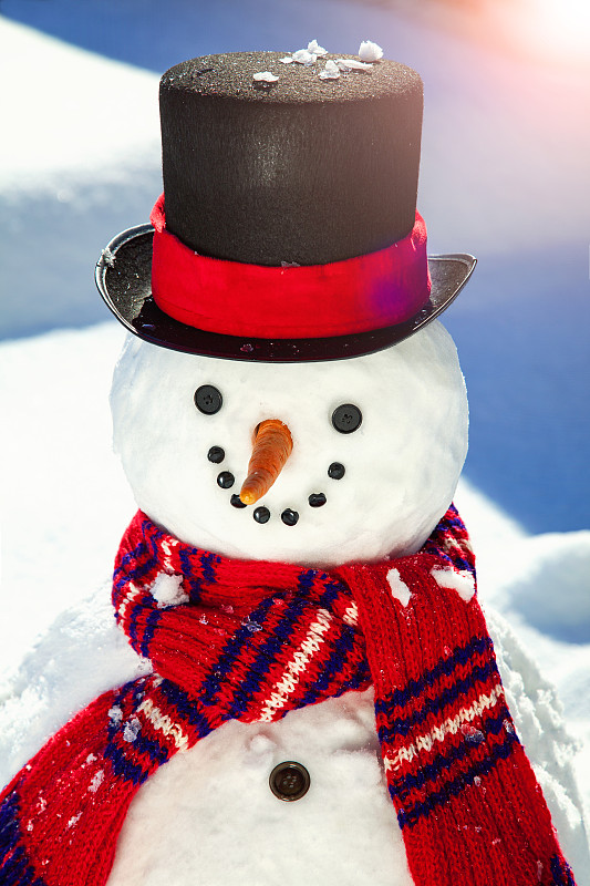 雪人,幸福,大礼帽,垂直画幅,天空,贺卡,拟人笑脸,雪,新年,球体