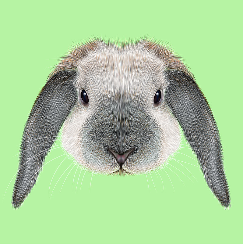 兔子,一只动物,垂直画幅,复活节,动物耳朵,绘画插图,动物身体部位,野外动物,组物体
