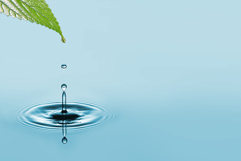 水滴,饮用水,雨滴,波纹,叶子,水,水平画幅,形状,湿,纯净
