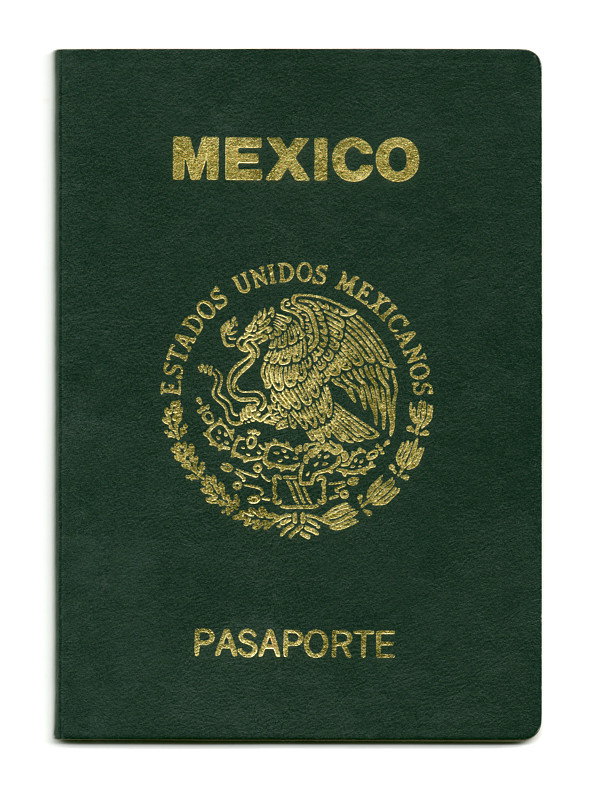 护照,特写,帮助页面,锦缎,墨西哥,生物识别,垂直画幅,无人,符号,文档