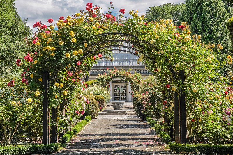 植物园,玫瑰公园,拱门,花坛,新西兰坎特伯雷地区,公园,水平画幅,无人,巨大的