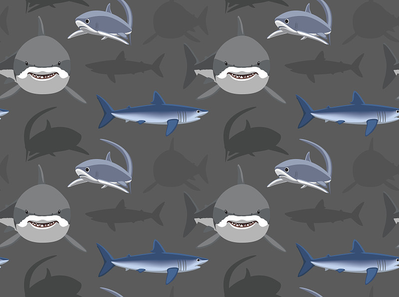 鲨鱼,壁纸,数字12,玩具鲨鱼,大白鲨,联合收割机,可爱的,多样,野生动物,大西洋