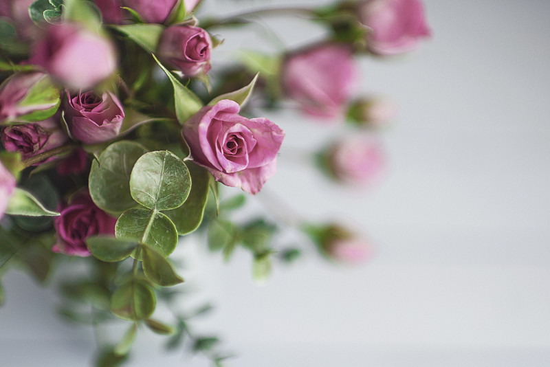 花束,玫瑰,母亲节,在上面,花瓶,芙蓉石,花蕾,粉色,留白,水平画幅