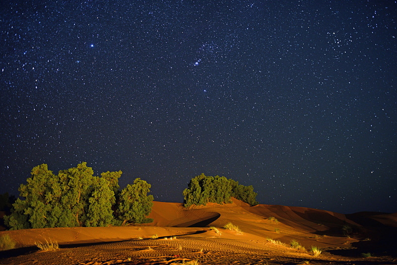 撒哈拉沙漠,沙漠绿洲,夜晚,星星,天狼星,猎户座大星云,摩洛哥,erg,chebbi,dunes,天空,水平画幅