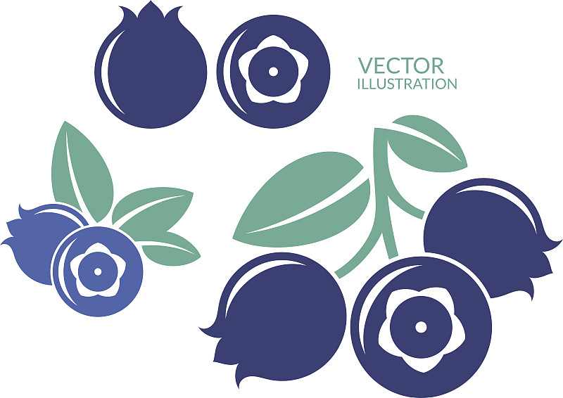 蓝莓,水果,无人,蓝色,绘画插图,浆果,抽象,背景分离,矢量,图标集