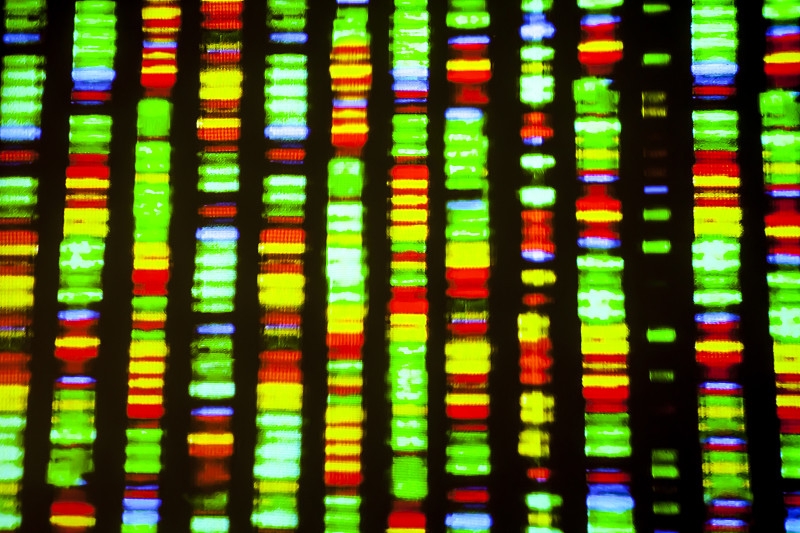 dna测序,基因组学,脱氧核糖核酸,干细胞,多帧影像,生物学,染色体,水平画幅,微生物学,科学