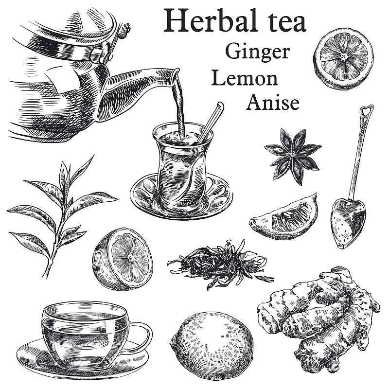 茶树,星茴芹,生姜,柠檬,自然,滤茶器,茶,蒙太奇,芳香的,绘画插图