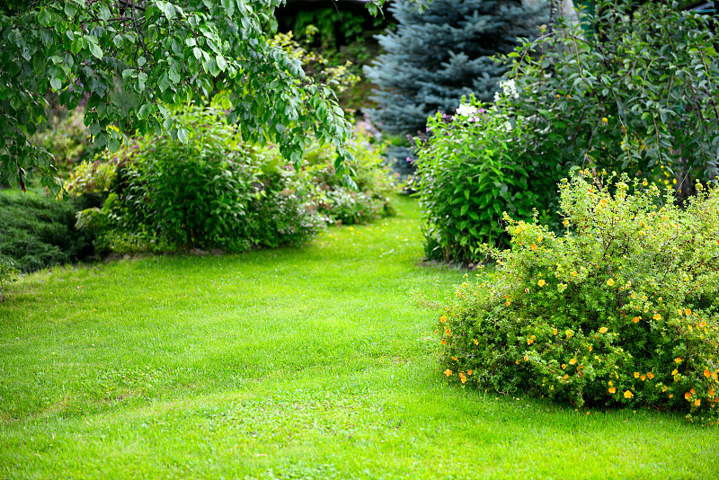 园林,草坪,草,绿色,自然美,花坛,灌木,景观设计,庭院