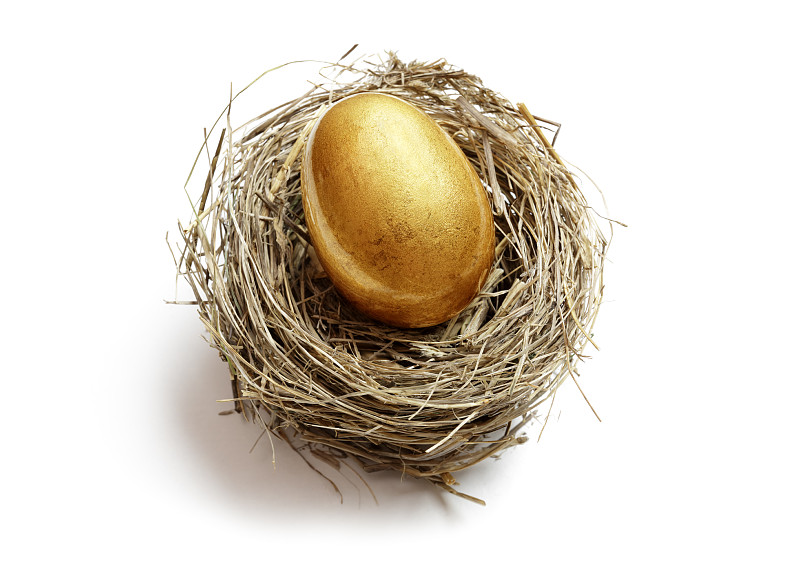 养老金,退休金,黄金,动物的巢,卵,401k养老金,鸡蛋,文件夹,复活节彩蛋,储蓄