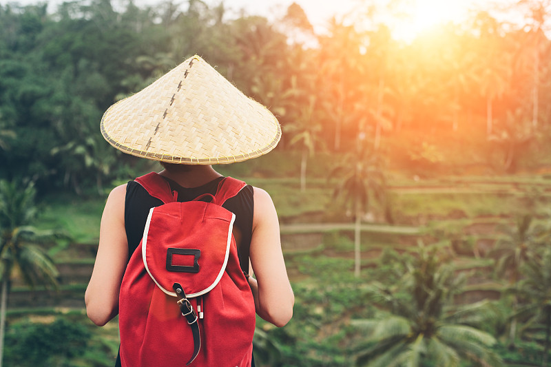 背包,青年人,女人,锥形帽,传统,印度尼西亚,稻田,越南,探险家,旅游目的地