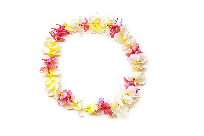 赤素馨花,白色,黄色,粉色,花环,夏威夷大岛,花卉花环,项链,自然,留白