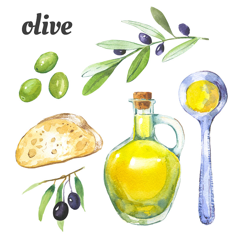 橄榄油,橄榄,瓶子,地中海美食,素食,绘画插图,生食,烘焙糕点,维生素,夏天