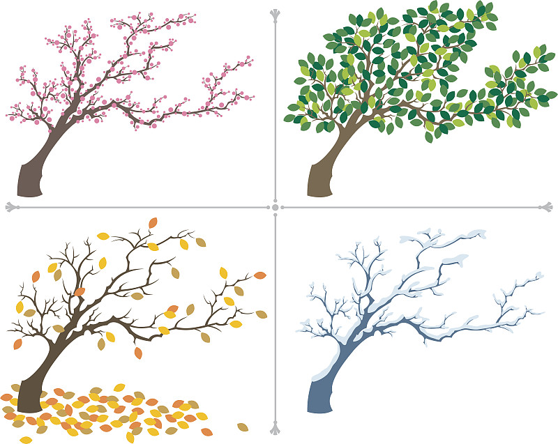 季节,樱花,樱桃,雪,无人,绘画插图,夏天,秃树,四季,白色