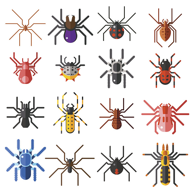 蜘蛛,矢量,绘画插图,卡通,平坦的,计算机图标,分离着色,狼蛛,寡妇,蜘蛛恐惧症