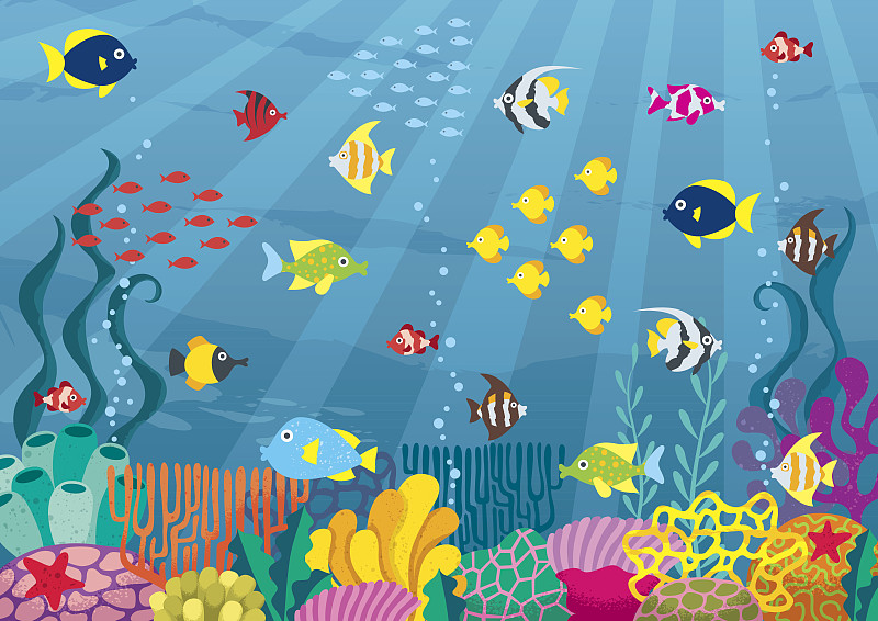 水下,鱼缸,水族馆,海底,大堡礁,鱼群,礁石,鱼类,水肺潜水,珊瑚