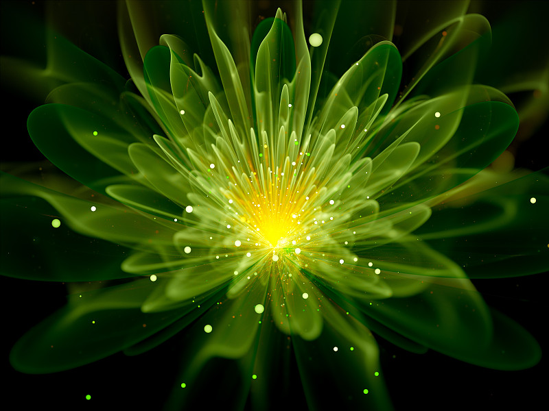 分形,绿色,仅一朵花,科学,华丽的,梦想,背景,绘画插图,图像特效,未来