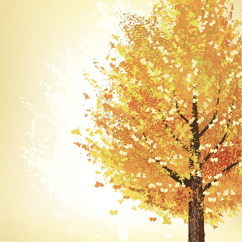 秋天,金色,银杏树,纹理效果,十月,橙色,植物,背景,纹理,绘画插图