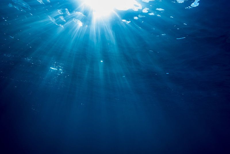 阳光光束,帕劳,密克罗尼西亚,深的,水下,水肺潜水,水面,在下面,海洋,水