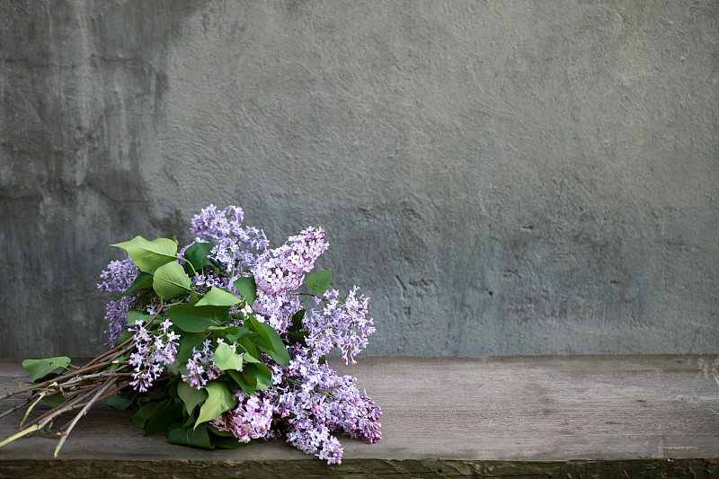 丁香花,紫色,花瓣,鲜花盛开,桌子,木制,自然,留白,水平画幅