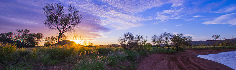 艾丽斯溪流,澳大利亚,北领地州,水平画幅,无人,全景,户外,沙漠,湖,日落