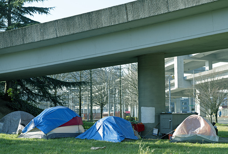 帐篷,西雅图,华盛顿州,南,市区,在下面,大帐篷,防水油布,水平画幅