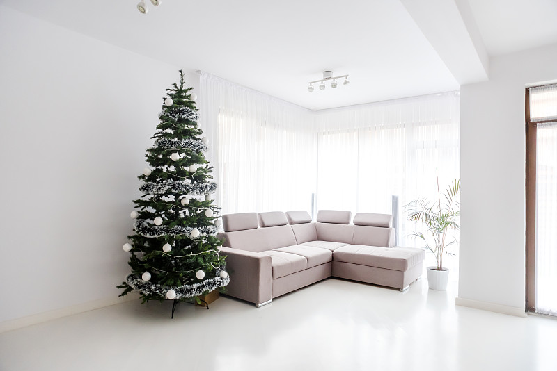 圣诞树,起居室,沙发,宾馆套房,巨大的,太空,天花板,围墙,灯,家具