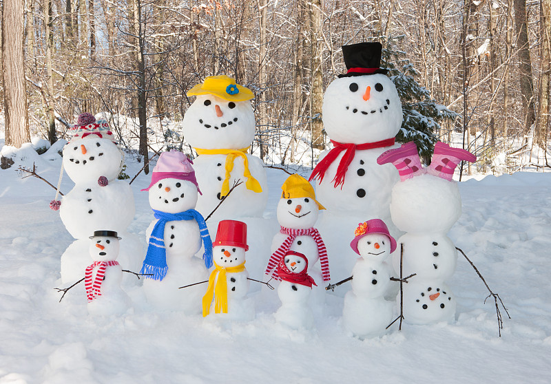 家庭,雪人,胡萝卜,水平画幅,雪,无人,上下颠倒,伴侣,户外