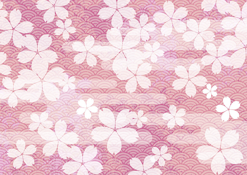 自然美,绘画插图,樱之花,樱桃树,樱花,和服,式样,日本,可爱的,纹理效果